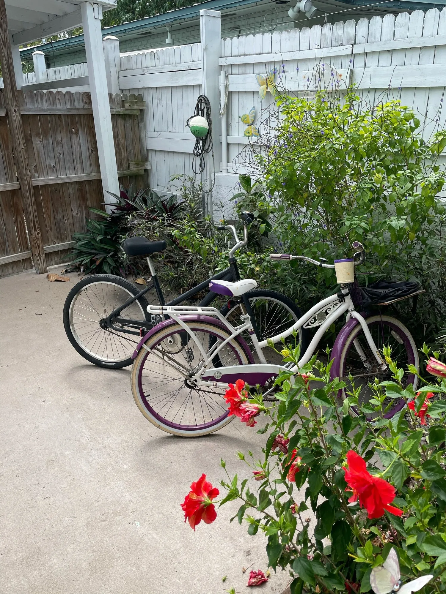 Bikes